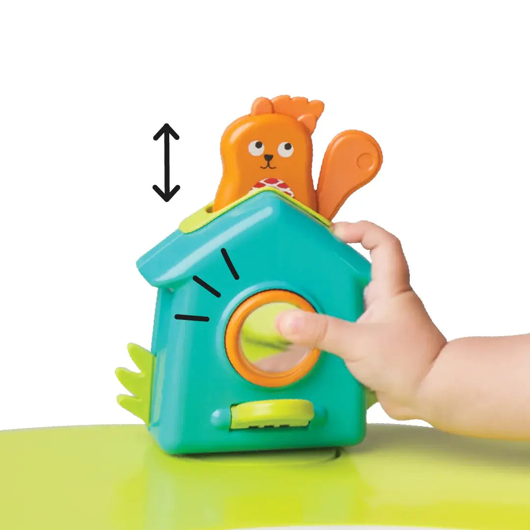 Portaplay friends squirrel